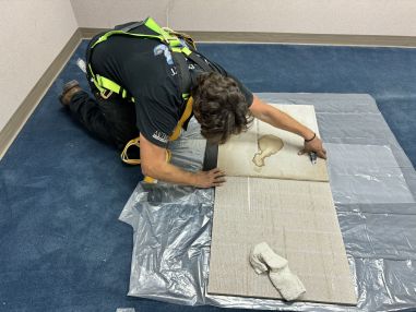 Commercial Cleaning of Ceiling Tiles and High Dusting in Denver, CO (4)